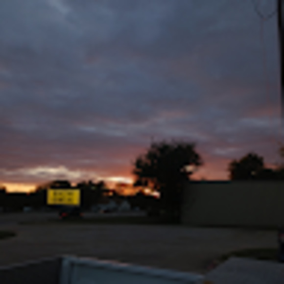 Meet your Posher, Savanah - Picture 1 of 1